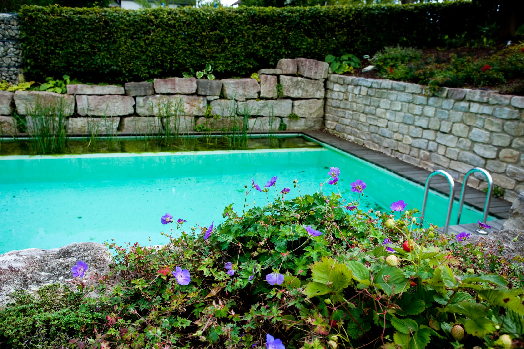 Sitzplatz an einem Naturpool am Abend
